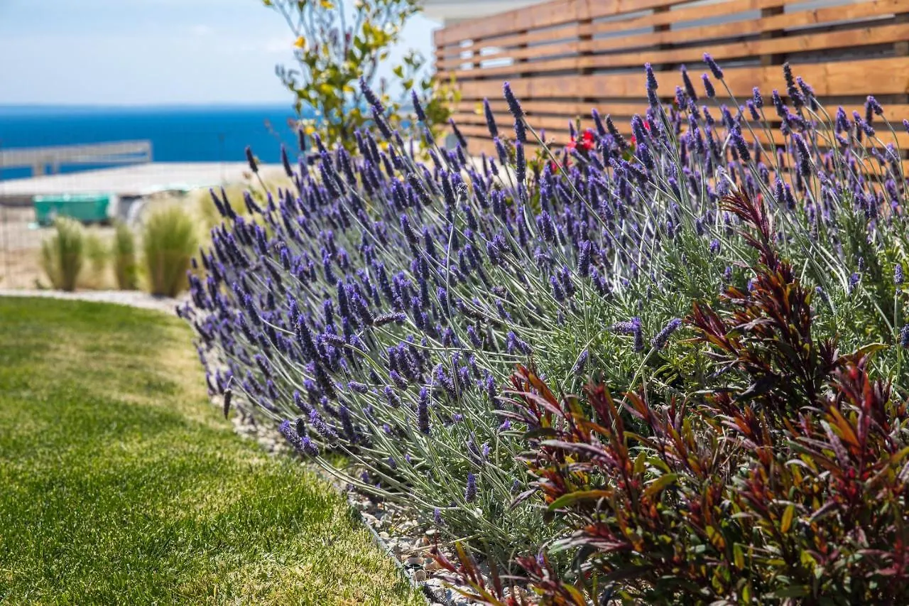 Arthill Eco Villas Νικήτη Ελλάδα